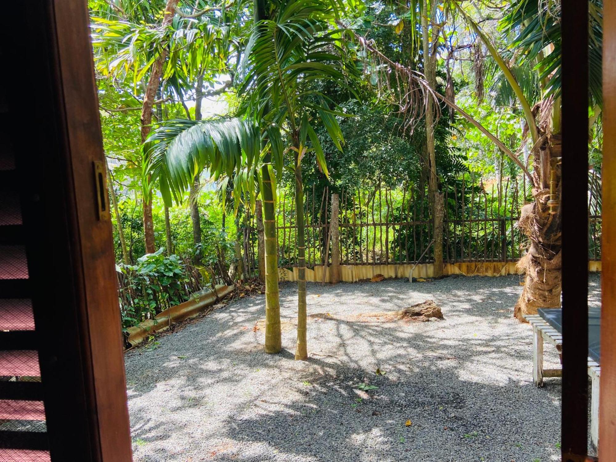 Leo Homestay Діквелла Екстер'єр фото