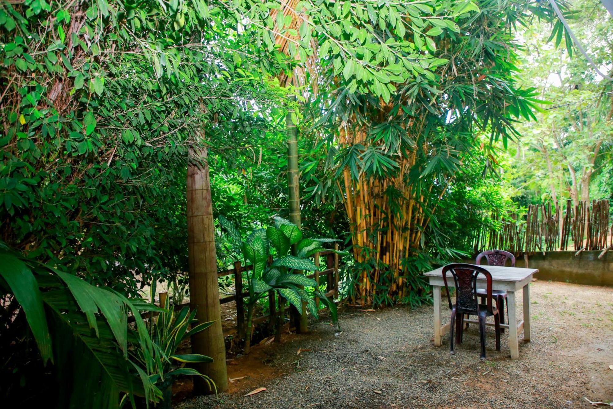 Leo Homestay Діквелла Екстер'єр фото